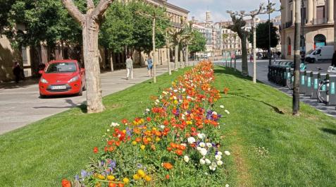 Primavera en Pamplona Primavera en Pamplona