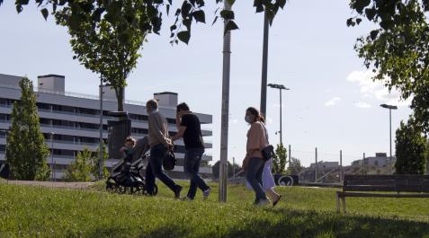 Pasear estos días por una zona supone enfrentarse a nubes de insectos y pelusas Pasear estos días por una zona supone enfrentarse a nubes de insectos y pelusas