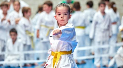 La quinta jornada de los Juegos Deportivos de Navarra en la modalidad de kata se celebró con casi 150 participantes en Huarte La quinta jornada de los Juegos Deportivos de Navarra en la modalidad de kata se celebró con casi 150 participantes en Huarte