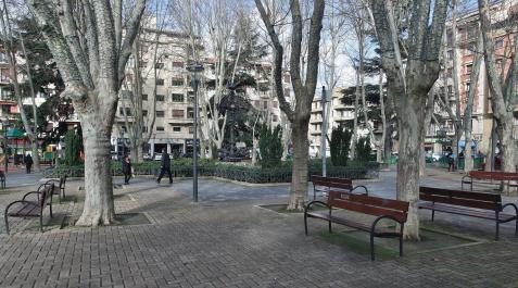 Los árboles centrales en la plaza de la Cruz Los árboles centrales en la plaza de la Cruz