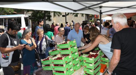 Feria cereza Etxauri Uno de los doce puestos de productores locales instalados en la feria de la cereza