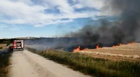 allo Los bomberos, junto a un campo de cereal afectado