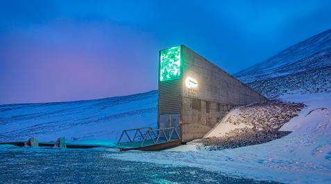 El Banco Mundial de Semillas de Svalbard es un almacén subterráneo situado en la isla de Spitsbergen, en el archipiélago noruego de Svalbard
