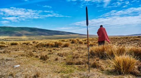 pastor-masai-Ngorongoro-africa En los últimos 60 años, la población del Área de Conservación del Ngorongoro ha pasado de unas 10.000 a unas 100.000 personas