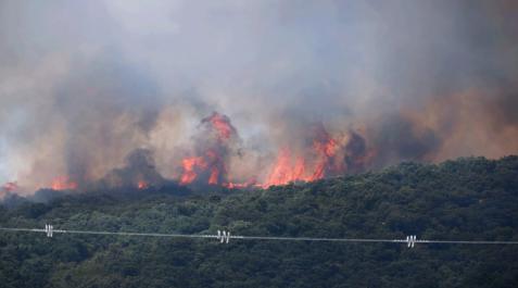 Imágenes del incendio en la Sierra de Leyre este miércoles, 15 de junio, con el fuego reactivado por el viento