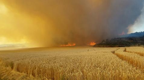 Las llamas se reactivan en el incendio de Tafalla