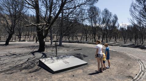 Una vecina con sus hijos ante una de las sepulturas del cementerio rodeada de árboles quemados y cubierta de ceniza Incendio