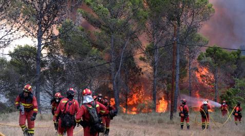 Efectivos militares de la UME, procedentes de la base de Torrejón de Ardoz, trabajaban este domingo para extinguir las llamas en una zona arbolada cerca de Artazu, en la NA 7040, hacia las 15 horas Artazu
