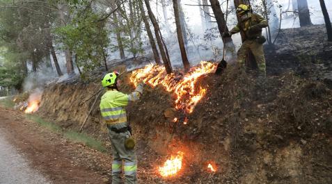 Yesa1 Trabajos de extinción del fuego declarado en los montes próximos a Yesa este lunes, 20 de junio