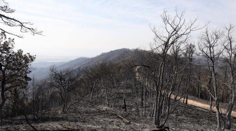 efectos-incendio-perdon Fotos de los incendios en Navarra y sus efectos este martes. Vista de los daños causados por el fuego en la sierra de El Perdón y sus alrededores.