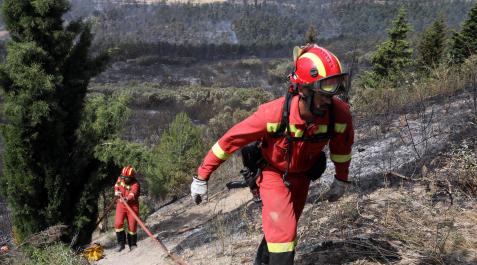 Incendio forestal en El Perdón. Bomberos participan en las labores de extinción del fuego declarado en la sierra de El Perdón.
