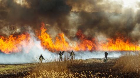 Bomberos, trabajando en un incendio Bomberos, trabajando en un incendio