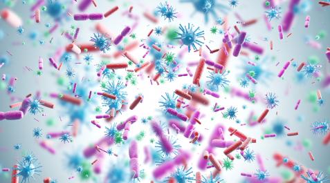 virus Infecciones virales