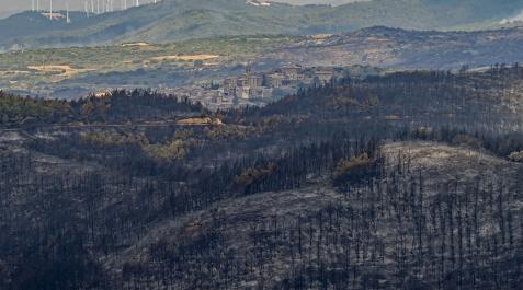 El perfil de San Martín de Unx se atisba en medio de un mar quemado de árboles tras el incendio en Ujué El perfil de San Martín de Unx se atisba en medio de un mar quemado de árboles tras el incendio en Ujué
