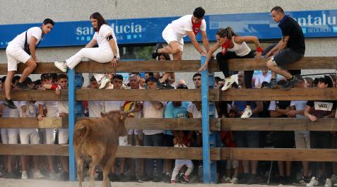 Vaquillas en las fiestas de Barañáin 2022 Vaquillas en las fiestas de Barañáin 2022./