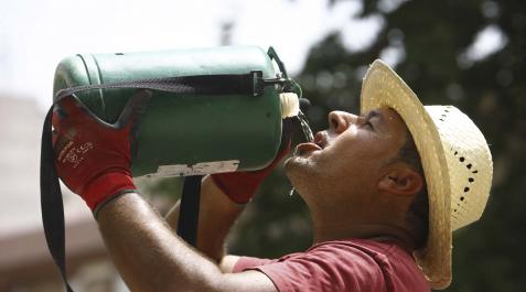 jornalero calor Un jornalero del campo bebe agua durante la jornada de trabajo en plena ola de calor, en Córdoba
