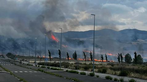 Incendio las llamas afectaron a terreno cosechado y a un arboleda próxima