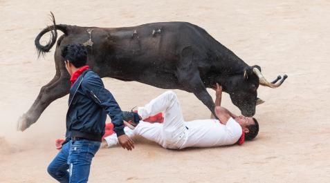 Vaquillas Un mozo en apuros, en la última suelta de vaquillas en Pamplona, el 14 de julio de 2019.