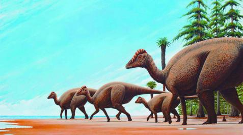 Una manada de Blasisaurus recorre una playa del Cretácico Superior de Huesca Una manada de Blasisaurus recorre una playa del Cretácico Superior de Huesca