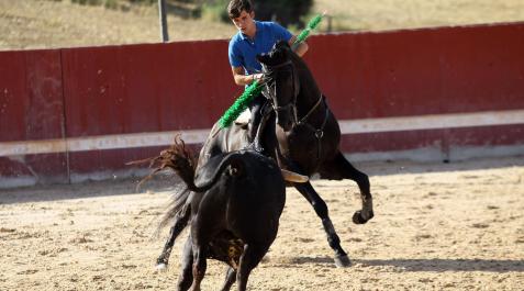 Guillermo Hermoso de Mendoza, en un entrenamiento en su finca de Estella, de nombre Zaraputz