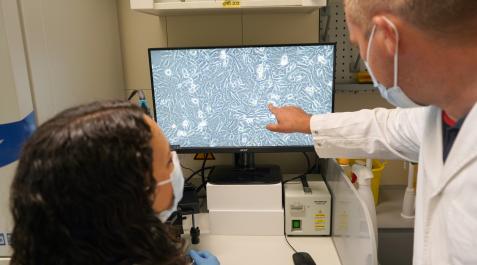 investigación cáncer El trabajo se encuentra en fase de desarrollo preclínico