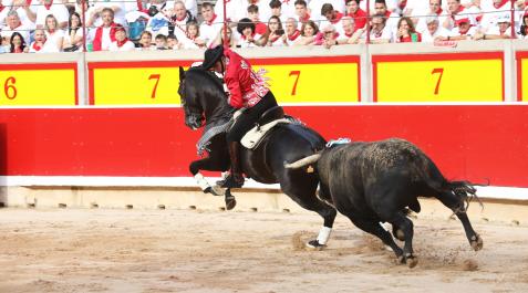 Guillermo Hermoso de Mendoza Hermoso de Mendoza, en su primer toro