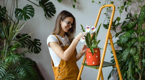jardineria Una mujer, cuidando unas plantas