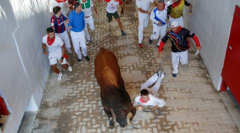 corneado en el callejón en el sexto encierro El corneado en el callejón en el sexto encierro
T: SEXTO ENCIERRO SF2022, ENTRADA PLAZA DE TOROS, GANADERIA JANDILLA
