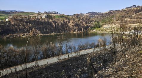 Los incendios, un mes después: Puente la Reina Puente la Reina