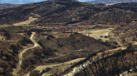 Los incendios, un mes después: San Martín de Unx San Martín de Unx