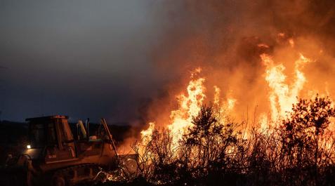 zamora fuego Incendio de Losacio (Zamora)