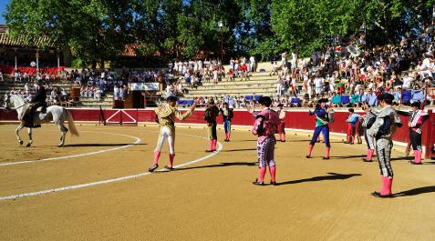Imagen del paseíllo antes de una corrida en la plaza de toros de Tafalla