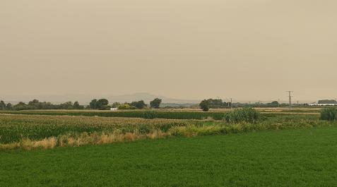 Los cielos de la Ribera baja se enmarronaron con el humo y cenizas de Ateca. En la imagen, Ribaforada Los cielos de la Ribera baja se enmarronaron con el humo y cenizas de Ateca. En la imagen, Ribaforada
