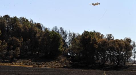 Fotos del segundo día de extinción del incendio de Carcastillo.