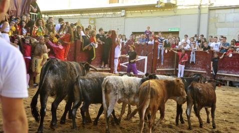 Un espectáculo de vaquillas en Puente la Reina en 2019 Un espectáculo de vaquillas en Puente la Reina en 2019