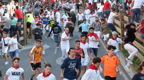 Séptimo y último encierro de las fiestas de Tudela Séptimo y último encierro de las fiestas de Tudela