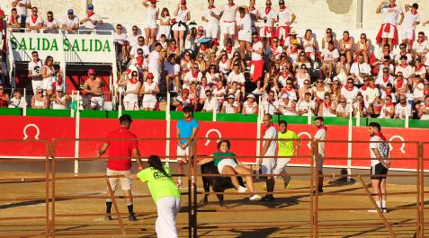 Una joven es alcanzada por una de las vaquillas ante la mirada de sus compañeros y del público Una joven es alcanzada por una de las vaquillas ante la mirada de sus compañeros y del público