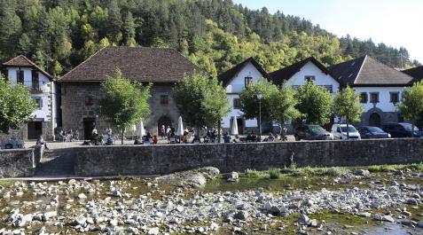 Ochagavia x
