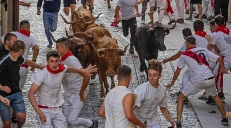 ENCIERRO-ESTELLA ¿Quién se llevó los tablones del encierro en fiestas de Estella?