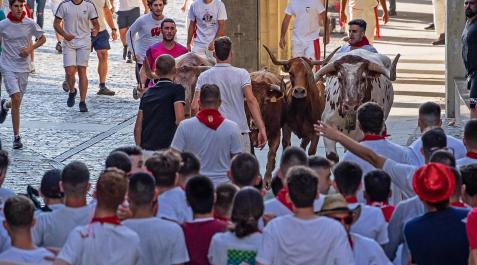 EncierroEst La manada encara la plaza de Santiago en un encierro de las fiestaa de Estella 2022