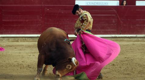 Corrida Estella 8 de agosto Pablo Hermoso de Mendoza, Guillermo Hermoso de Mendoza y Morante de la Puebla salieron triunfadores
