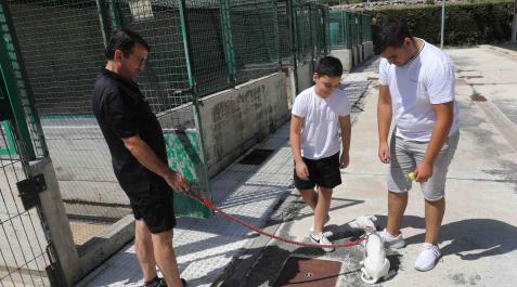 Un empleado del centro muestra uno de los perros del servicio a una familia Un empleado del centro muestra uno de los perros del servicio a una familia