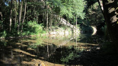 alzania Imagen del río Alzania a su paso por la zona donde se produjo el vertido.