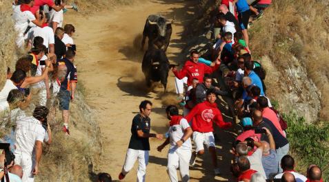 Segundo encierro del Pilón de fiestas de Falces Segundo encierro del Pilón de fiestas de Falces