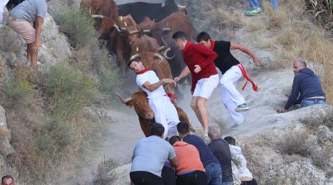 Fotos del quinto encierro del Pilón en Falces Quinto encierro del Pilón en Falces.