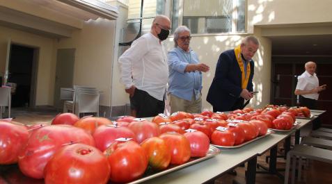 Un instante de la edición del concurso celebrado el año pasado Tomate feo