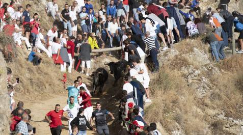 Sexto encierro del Pilón en Falces Sexto encierro del Pilón en Falces.