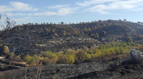 Estado en el que ha quedado la zona tras el incendio Estado en el que ha quedado la zona tras el incendio