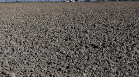 sequia Tierras de cultivo sin sembrar a causa de la sequía