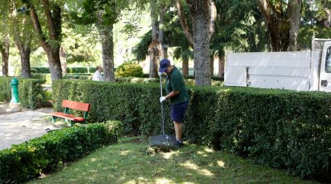 jardineria Una persona realizando labores de jardinería
